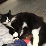 Milo Samuel Harrold - @milo.samuel - Instagram