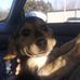 Sam Harter - Facebook
