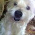 Sam Harter - Facebook