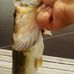 Samuel Harwell - Facebook