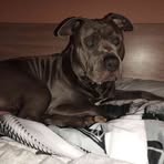Samuel Hatala - Facebook