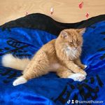 Samuel Hauser - @samuelhauser4 - Instagram