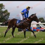 Sammy Healy - Facebook
