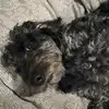 Sammy - @samuel.heck24 - TikTok