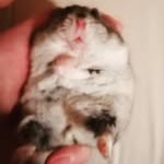 Samuel Hečko - @samuel_hecko - Instagram