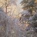 Samuel Hedrick - Facebook