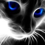 Samuel Hellmann - Facebook