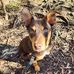 Sam Hemphill - Facebook