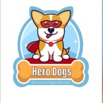 Hero Dog's Samuel - @samuelherodogs - Instagram
