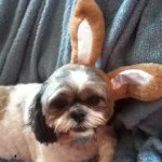 Samuel Hester - @the_doctor_samuel_hester - Instagram