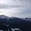 Samuel HIRSCH - @samuel.hirsch1 - TikTok