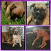Sammy Holsinger - Facebook