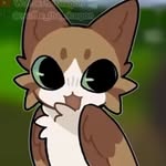 Samuel Hotz - @samuca_meowl - Instagram