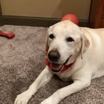 Samuel Hoyt burch - @samuelhoytburch - Instagram