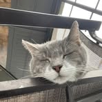 Samuel Huber - Facebook