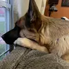 Samuel Hudson - @samuel.hudson35 - TikTok