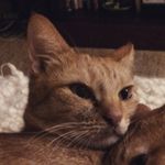 Samuel Huggins - @_samhuggins_ - Instagram