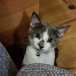 Samuel hulbert - @samuel.hulbert - Instagram