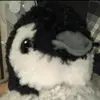 Sam Hulse - @samuel_hulse - TikTok