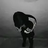 . - @samuel.huise - TikTok