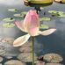 Samuel Hunley - Facebook