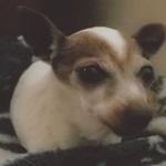 samuel hyde - @yourenowmanuallybreathing - Instagram