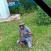 Sammy Bou Maroseck - Facebook
