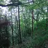 Samuele Lizzo - @samuelelizzo - TikTok