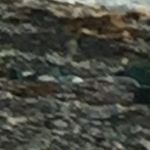 Samuel Jacobsen - @user018383373 - Instagram