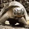 samuel_jamerson - @samuel_jamerson - TikTok