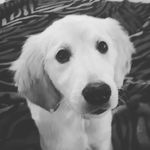 Samuel Jarrett - @samueljarrett60 - Instagram