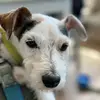 Jeffrey Samuel - @jeffrey.samuel25 - TikTok