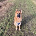 Samuel Jeffrey Peeps - @samueljeffreypeeps - Instagram