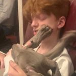 samuel jeffries - @sammmmmmmonella - Instagram