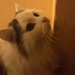 Samuel Jenny - @samyflausch - Instagram