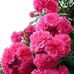 Samuel Jim - Facebook