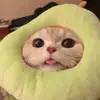 samueljody - @samueljody - TikTok