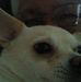 Samuel Joe - Facebook