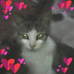 Samuel Joe - Facebook