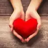 user2601228513209 - @samueljolly44gmail.com1 - TikTok
