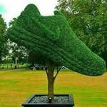 Samuel Jonson - @samuel.jonson.547 - Instagram