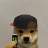 Samueljustus - @wall._.foxie - TikTok