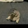 Samuel Karaś - @samuel.kara2 - TikTok