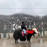 Sam - @samuel__kashyap_ - Instagram