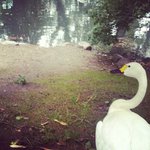 Samuel Keefer - @samuelkeefer - Instagram