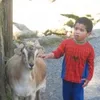 Samuel kee - @samuel.kee_ - TikTok