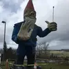 Sam Kehoe - @saman8178 - TikTok