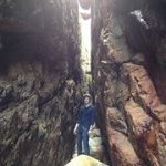 Samuel Kephart - @whenbirdsoink - Instagram