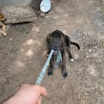 Samuel Kimbrell - Facebook