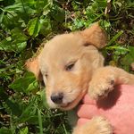 Kirby Samuel - @_kirby.samuel_ - Instagram